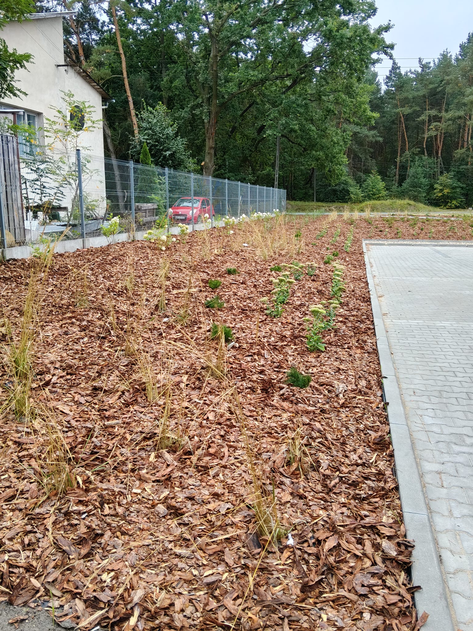 Zakładanie ogrodu przydomowego