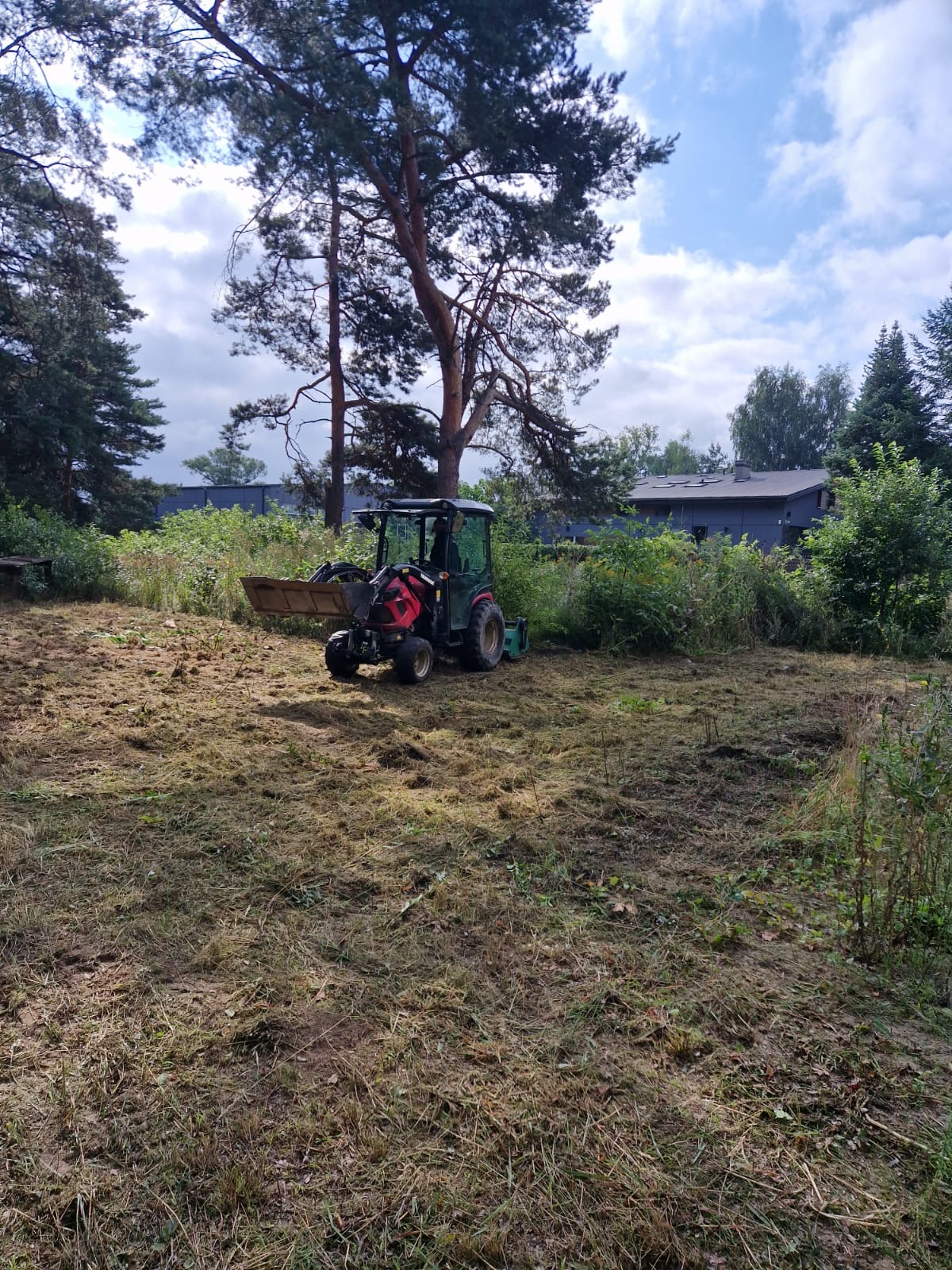 Porządkowanie i czyszczenie działki